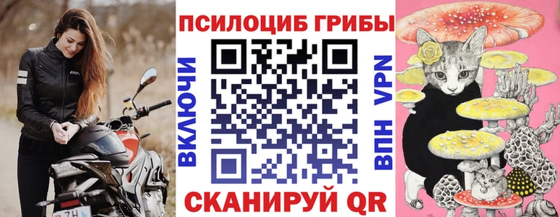 Купить закладки  Самара  Галлюциногенные грибы GOLDEN TEACHER 